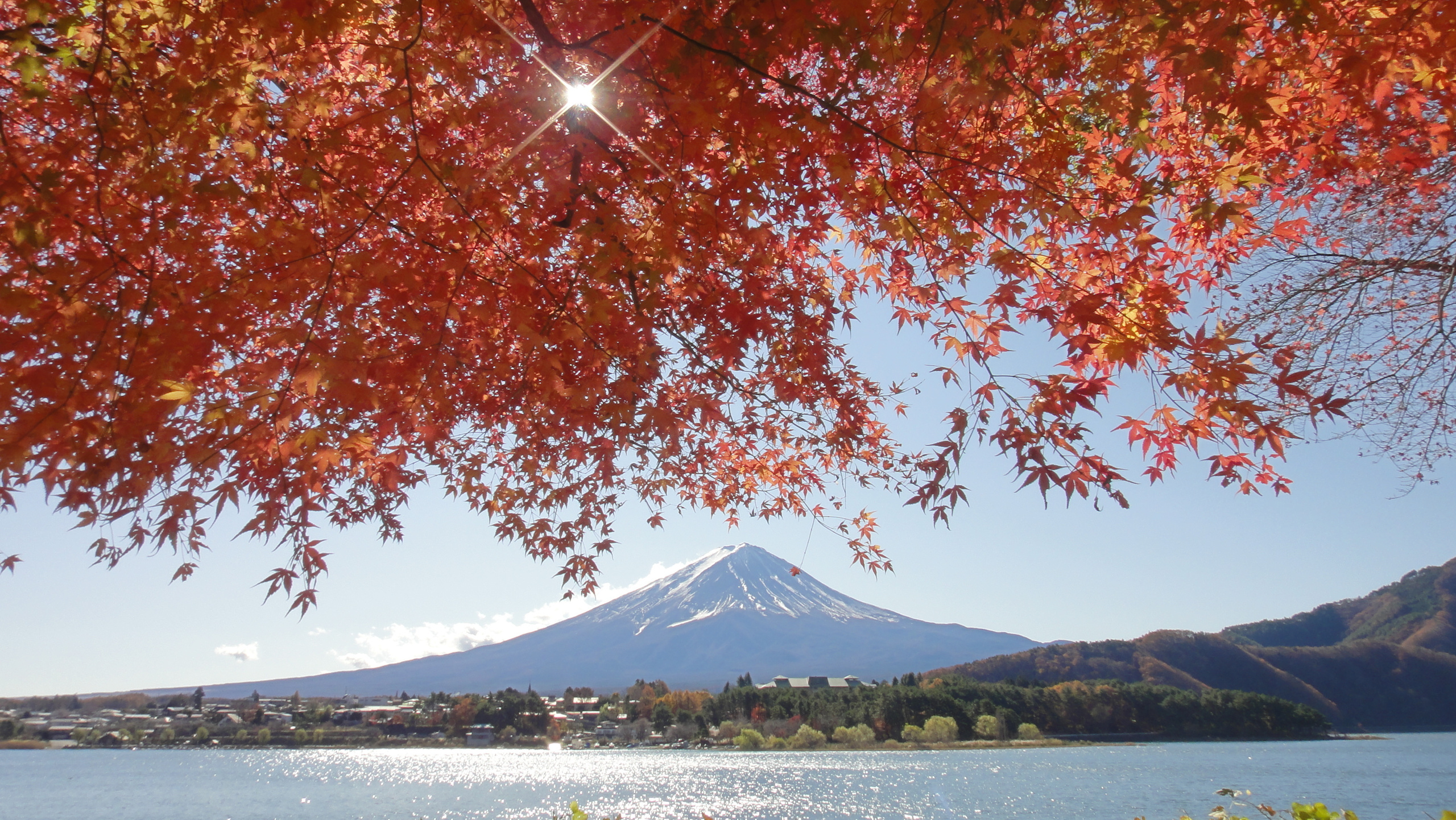 河口湖　貸別荘　コテージ　り楽S　秋　紅葉と富士山