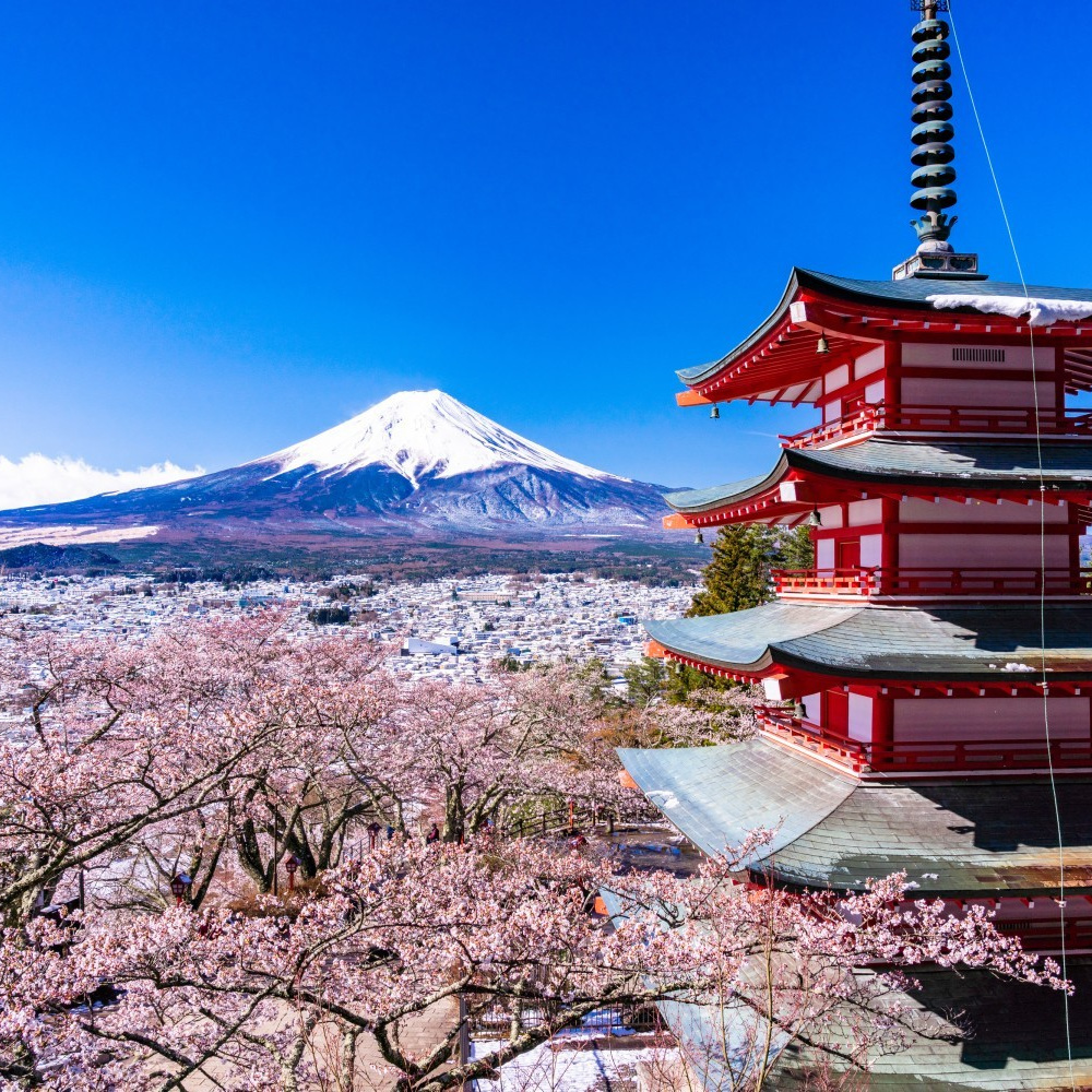 河口湖　貸別荘　り楽S　リラックス　春の忠霊塔と富士山