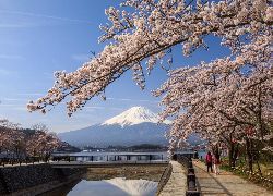 河口湖　貸別荘　コテージ　り楽S　リラックス　河口湖さくら祭り